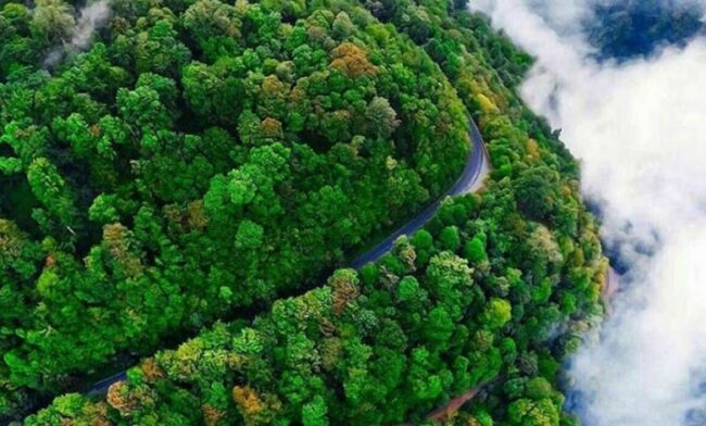 قیمت تجهیزات آشپزخانه صنعتی در گیلان