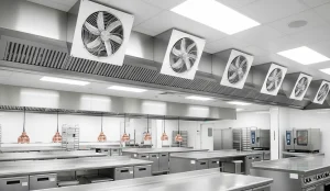 اگزاست فن در شیراز